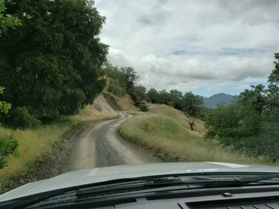 20190520_105446 (Large).jpg